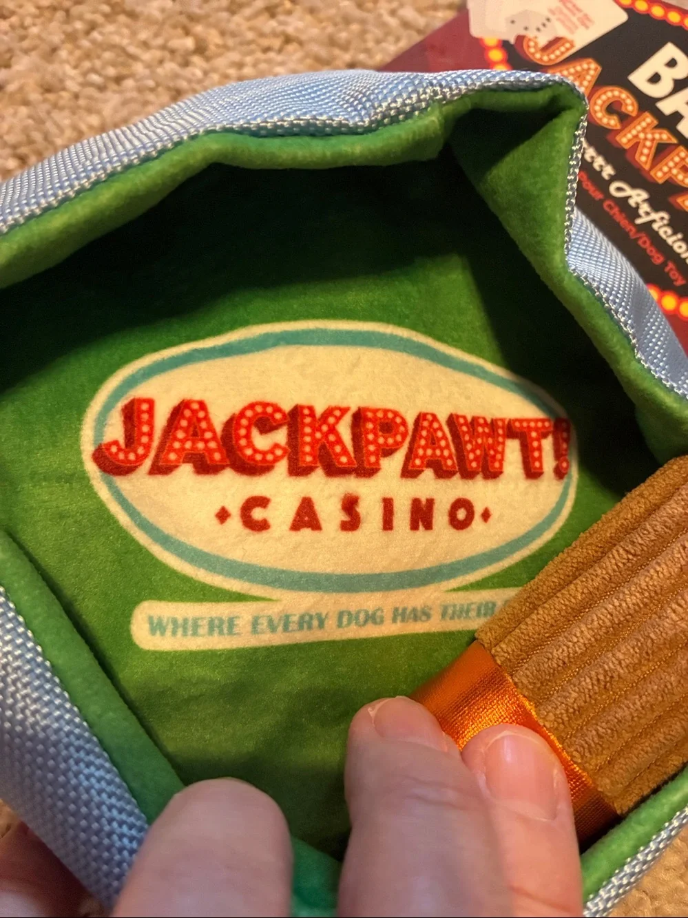 BARK Jackpawt Dog Toy - Light Blue and Green Accents
